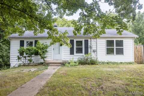 11610 Gamel Cemetery Road, Festus, MO 63028