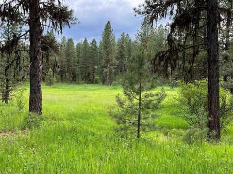 Lot 7 Timber Ridge Drive, New Meadows, ID 83654