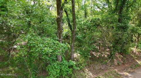 0 Chapel Hill Road, Utica, MS 39175