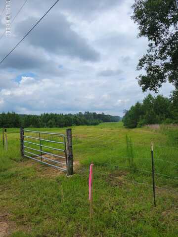 Highway 13, Oak Vale, MS 39656