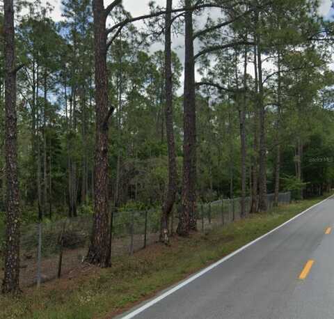 POYNER OAKS ROAD N, POLK CITY, FL 33868