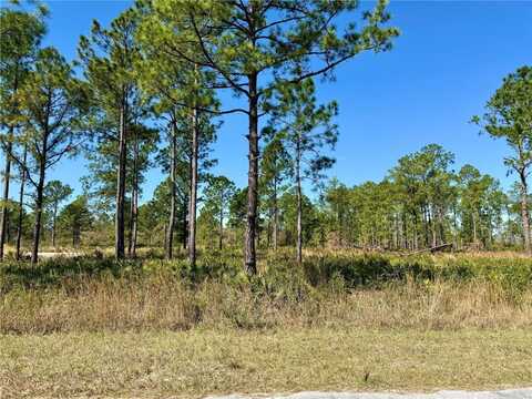 Lot 9 HONEYSUCKLE STREET, EUSTIS, FL 32736