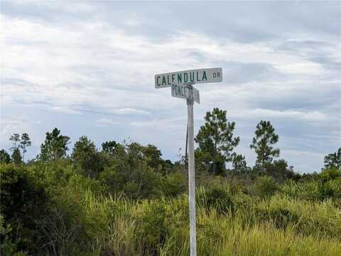 513 CALENDULA DRIVE, INDIAN LAKE ESTATES, FL 33855