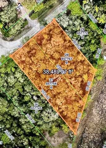 OCTAVIA LANE, WEBSTER, FL 33597