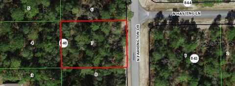 8676 N FARRINGTON DRIVE, CITRUS SPRINGS, FL 34433