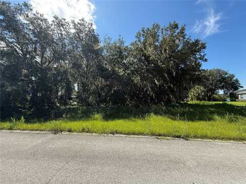 Lot 98 BEAR DEN DRIVE, EUSTIS, FL 32736