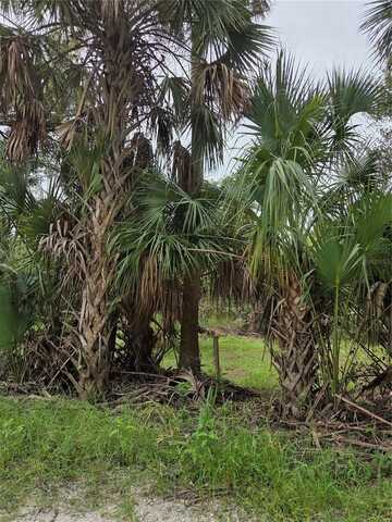 12835 RIVER ROAD, MYAKKA CITY, FL 34251