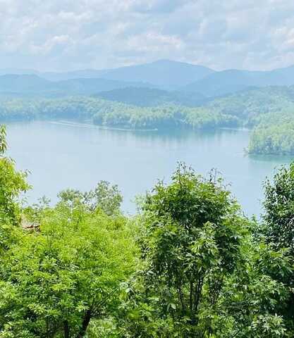 00 Cheoah Trail, ROBBINSVILLE, NC 28771