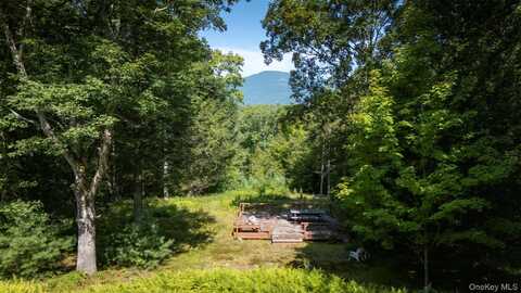 327 Phillips Road, Saugerties, NY 12477
