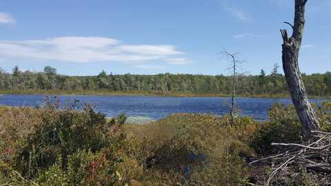 M4 96 & 99 Parker Pond Road, Jay, ME 04239