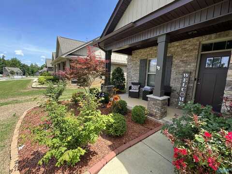 418 NW Fern Terrace Drive, Madison, AL 35757