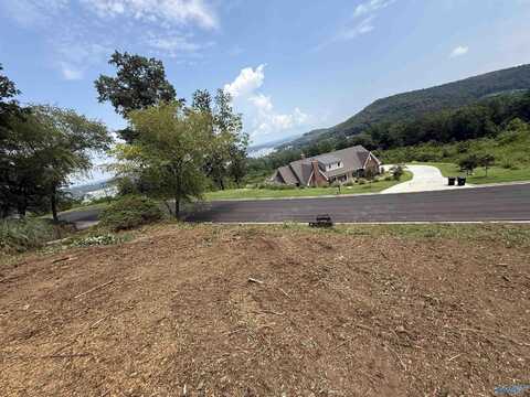 3028 Woodvue Road S, Guntersville, AL 35976