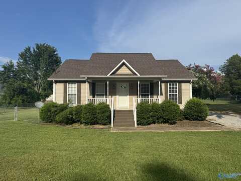 30598 Ardmore Ridge Road, Ardmore, TN 38449