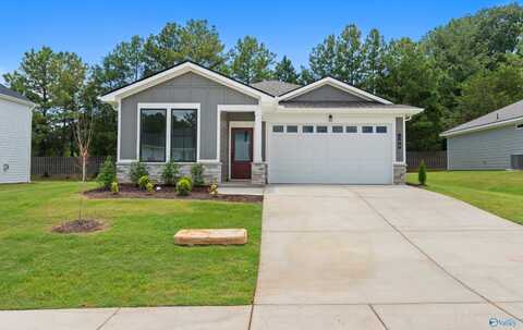 166 Hidden River Drive, Madison, AL 35756