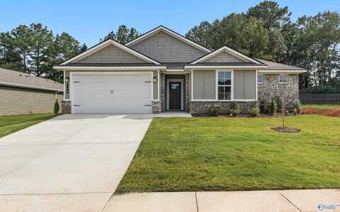 168 Hidden River Drive, Madison, AL 35756