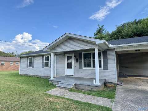 206 Chestnut Street, Athens, AL 35611
