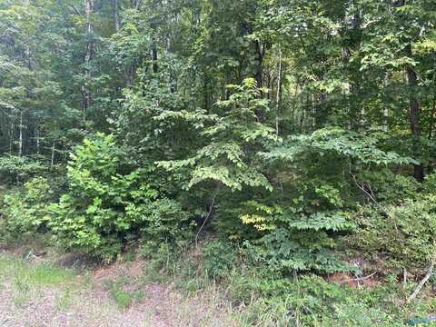 Lot 9 Ridge Trail, Gurley, AL 35748