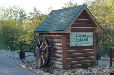 Lot 107 CANE ISLAND ROAD, Flippin, AR 72634