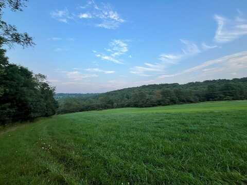 0 Brookland Rd, Ulysses, PA 16948