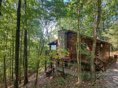 423 Laurel Creek Road, Cherry Log, GA 30513