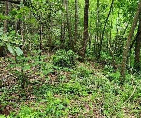 167 Calvender Road, Turtletown, TN 37391