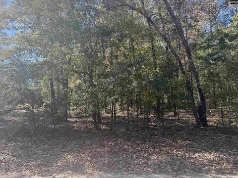 TBD Possum Trail Lot 2, Bamberg, SC 29003