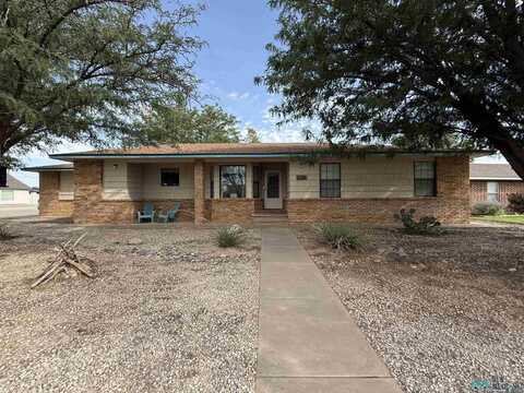 2308 W Briscoe Avenue, Artesia, NM 88210