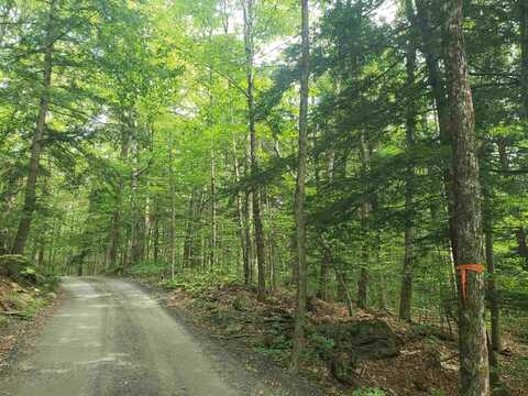 0 Stratton Hill Road, Marlboro, VT 05344