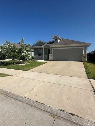 202 Lemongrass Drive, Princeton, TX 75407