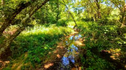 0 Deer Creek Rd, Raccoon, OH 45686
