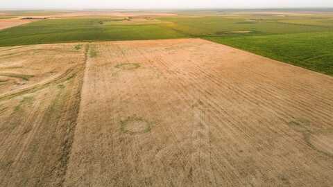 000 Country Rd 54-318 acres, Brewster, KS 67124