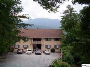 429 Deer Path Lane Apt.102, Gatlinburg, TN 37738