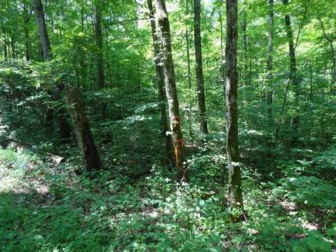25955 Ontario Road, St. Croix, IN 47576