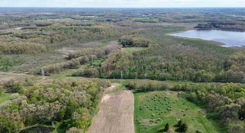 V/L Burton Hwy, Bellevue, MI 49021