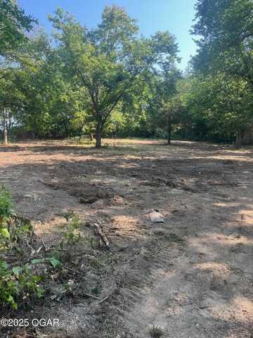 7702 County RD 290, Carl Junction, MO 64834