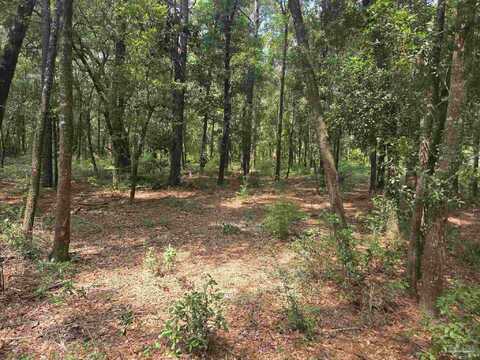 0000 Mcinnis St, Bagdad, FL 32583