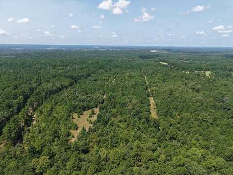 0 An County Road 353, PALESTINE, TX 75801