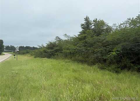 0 ,HIGHWAY 87, Elba, AL 36323