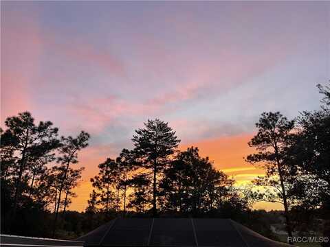 6650 N Bernzott Point, Dunnellon, FL 34433