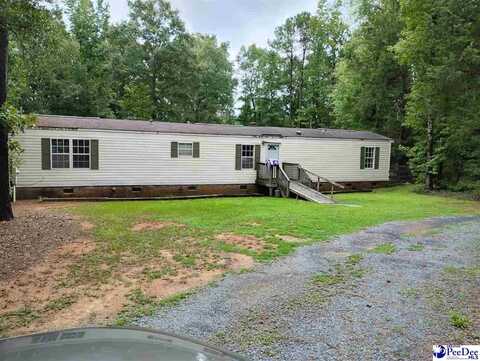 595 Vaughn Ln, Chesterfield, SC 29709