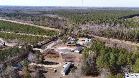 1186 Pee Dee Church Road, Dillon, SC 29536