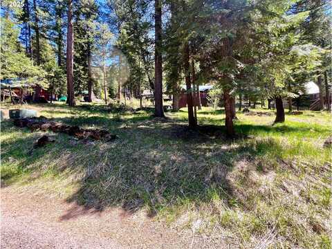 Forest Dell AVE, Wallowa, OR 97846