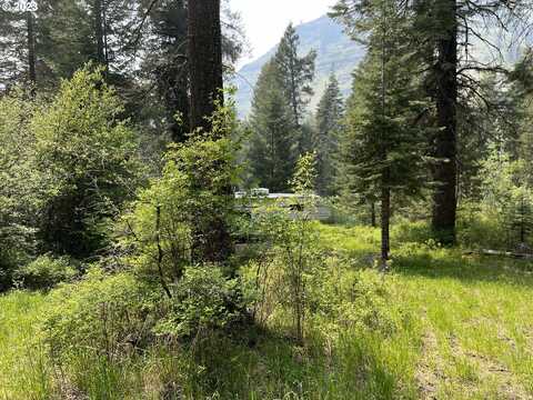59866 RIVER CANYON RD, Imnaha, OR 97842