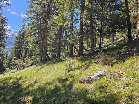 Lake Shore RD, Joseph, OR 97846