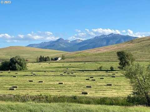 67213 CROW CREEK RD, Enterprise, OR 97828