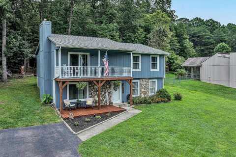 1190 Mountain Pass RD, Blue Ridge, VA 24064