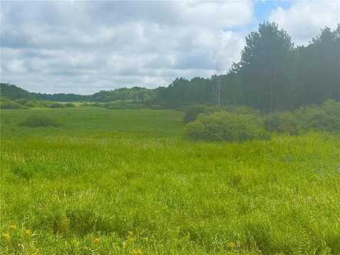 000 370th Avenue, Richardson Twp, MN 56338