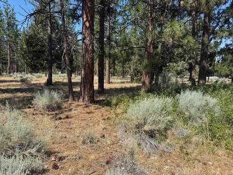 Lots 186/187 Hogan Dr, Weed, CA 96094