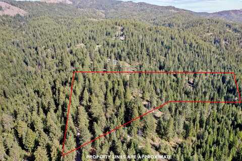 12703 S Alpine Fern Ln, Rockford, WA 99030