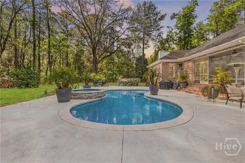 335 Buckland Hall Road, Richmond Hill, GA 31324